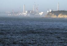 China Bans Seafood From Japan After the Fukushima Nuclear Plant Begins Its Wastewater Release
