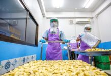 Freeze-Dried Durian Products From Thailand Popular in Chinese Market