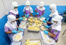 Thailand Lowers Fees for Cambodian, Laotian, Myanmar, and Vietnamese Workers