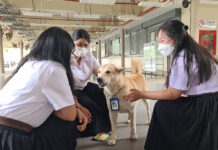 Alex, The Four-legged Receptionist of Mahidol University