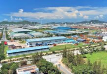 Foreign Investment Rises, but Value Falls: EEC Drops Over 60%