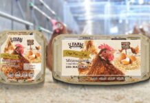 CP Foods Produces Asia’s First Carbon-Neutral Cage-Free Egg