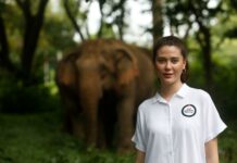 Tang Tawanwad Releases New Single “No Elephant Show” Music Video Starring Maria Poonlertlarp