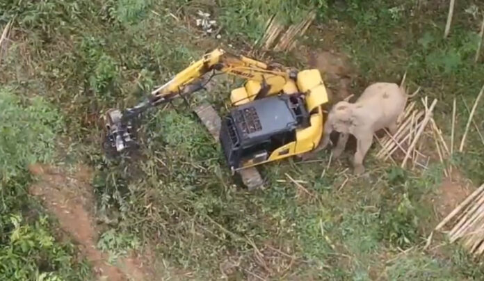 elephant backhoe 1