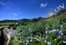 Discover Monsoon Valley Thailand’s No. 1 Wines, Exclusively at King Power Duty-Free Shops.