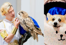Thailand International Pet Variety Exhibition 2023 For Pet Lovers