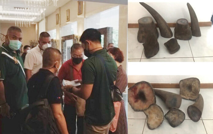 rhino horn4