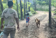Two Dogs Save A 2-year-old Boy From Falling Into A Deep Pond