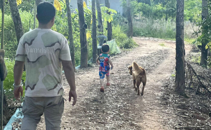 dog help boy1