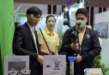 “Proactivity Shapes Sustainable Development” Research by High School Student