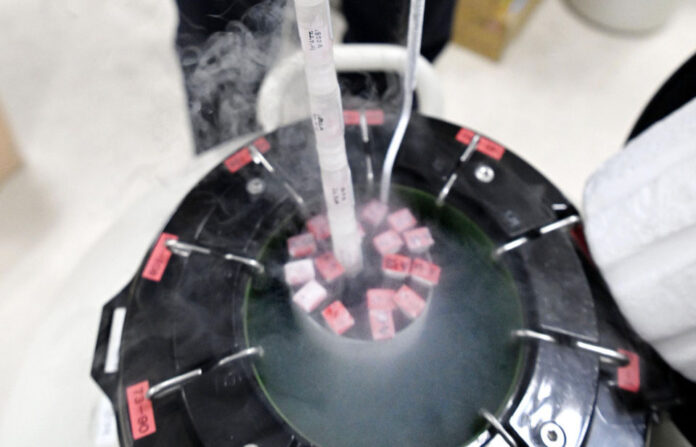 ivf japan2