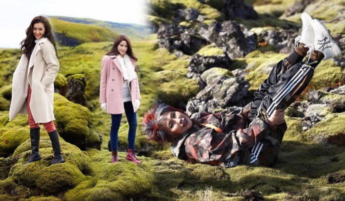 lavamoss Moss