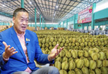 Srettha Eyes Exporting More High-quality Durians To China