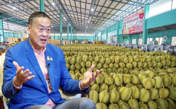 srettha durian1