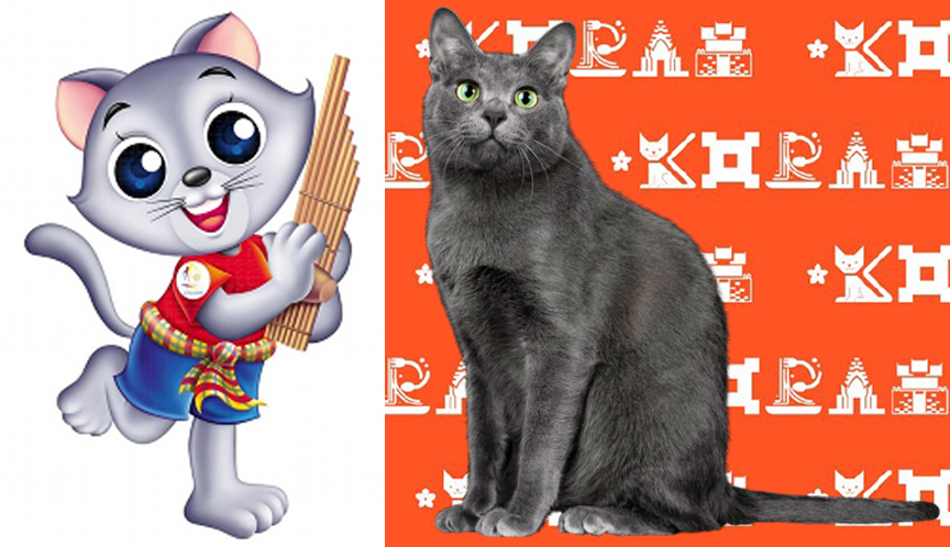 Korat Cat Pants