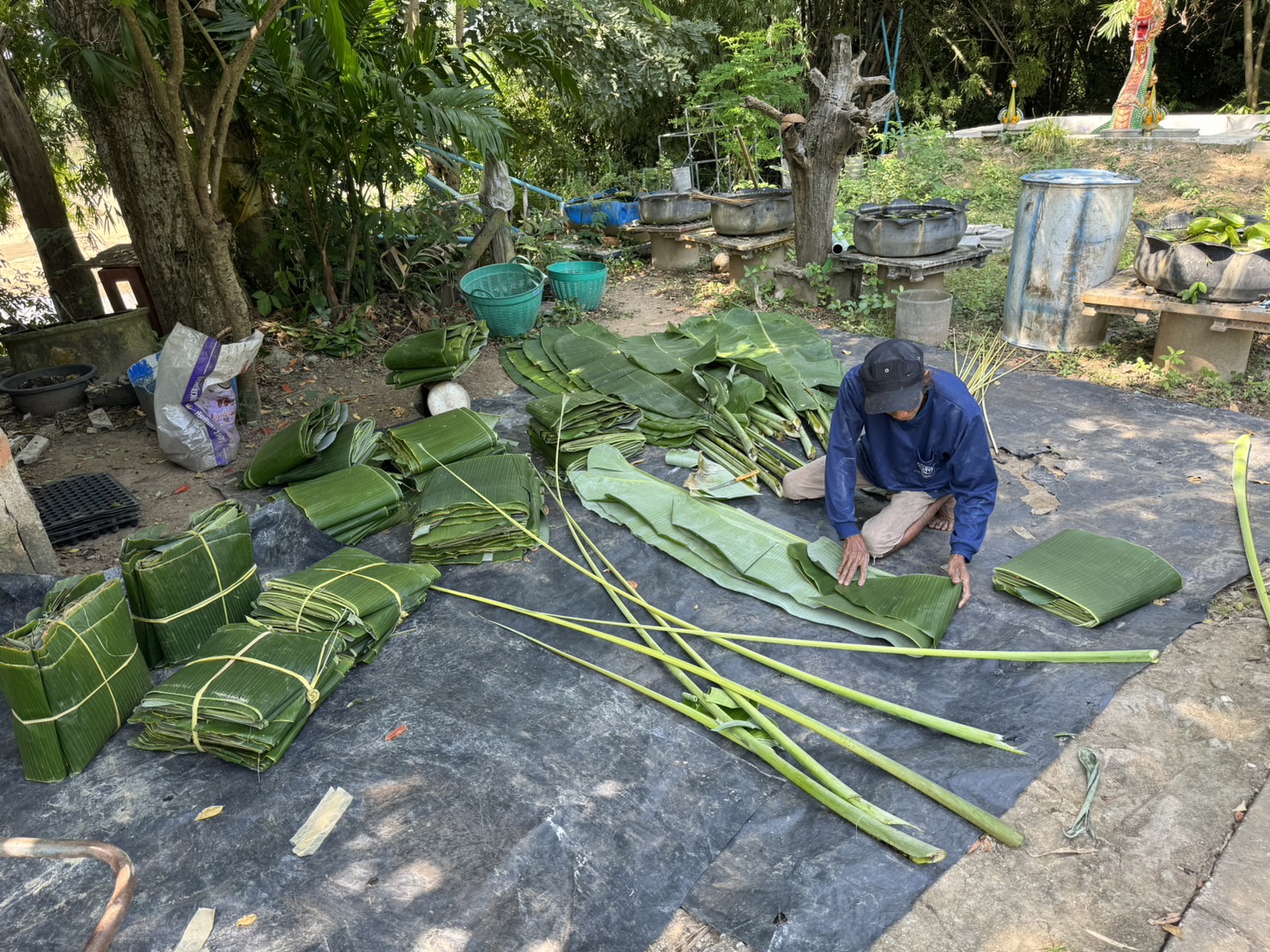 environ krathong3