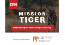 B.Grimm Joins Forces With CNN For a Global Campaign That Shines a Spotlight on Tiger Habitat and Conservation CNN tiger