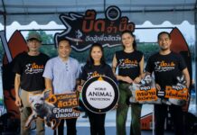 World Animal Protection Thailand Launches “Rowing for Farm Animals”
