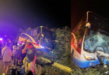 Bus Crashes Into A Tree, Seriously Injuring 3 Foreigners and A Thai bus