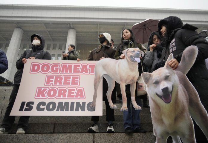 South Korea Dog Meat dog meat