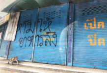 Troop of Monkeys Scare Investors, Affecting Lopburi’s Businesses monkeys