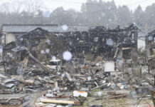 Tsunami Floods 190 Hectares After Central Japan Quake Tsunami