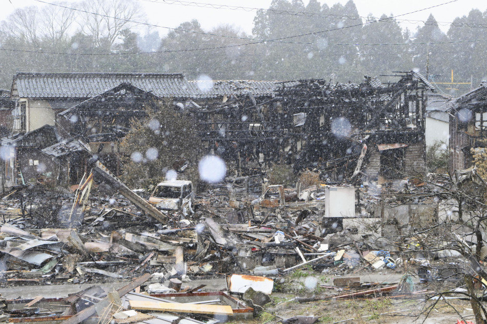 A tsunami in Japan tests the country's political system