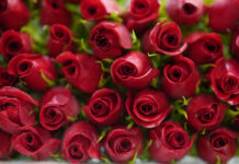 Here’s How To Beat the Hype and Overcome Loneliness on Valentine’s Day
