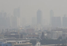 High Air Pollution Levels in Bangkok Spark Order for City Employees To Work From Home Work From Home