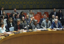 US Vetoes an Arab-Backed Un Resolution Demanding an Immediate Humanitarian Cease-Fire in Gaza Humanitarian