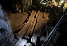 New insights Into Thailand’s Iron Age Log Coffin Culture
