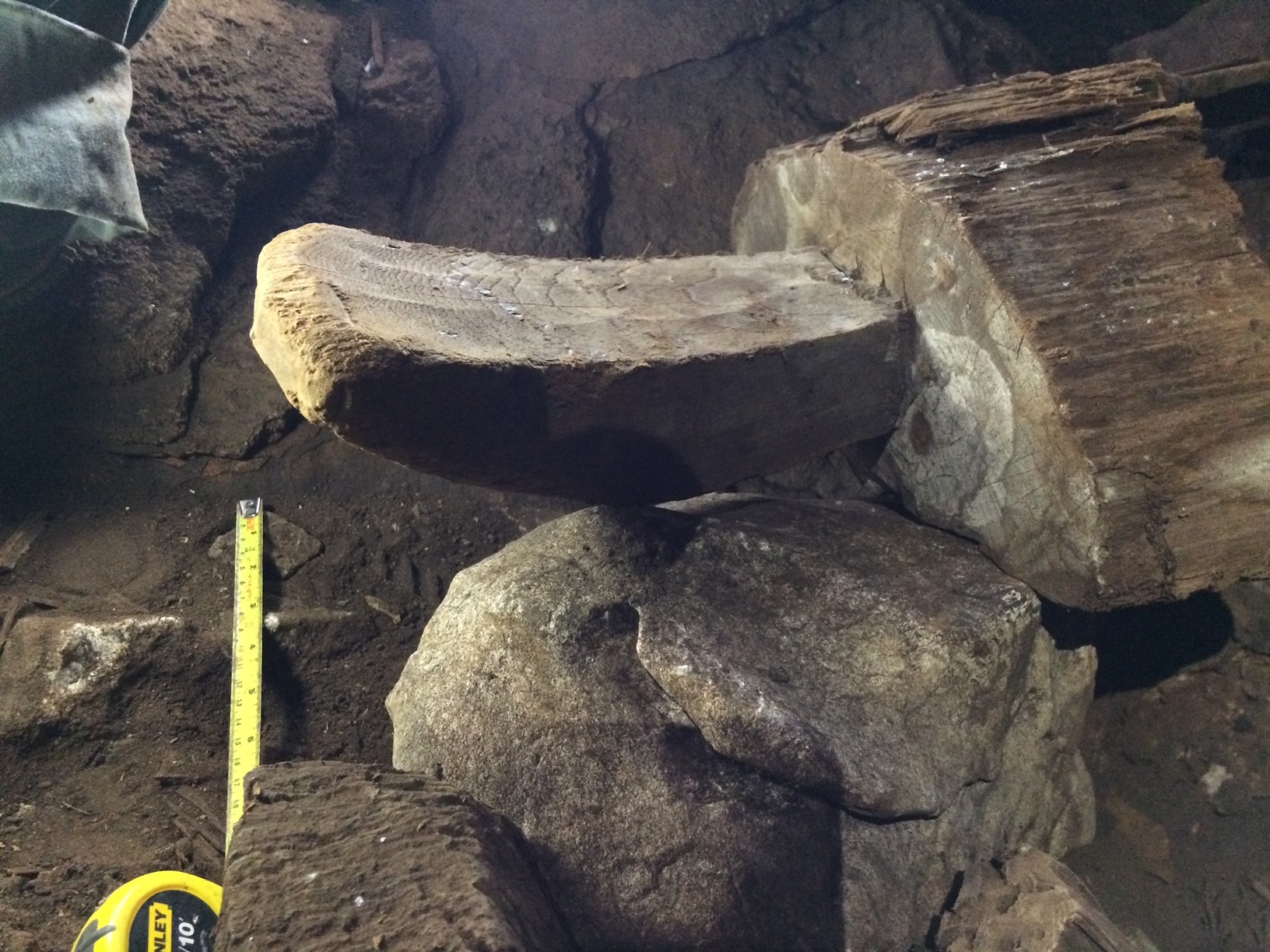 Yapanae