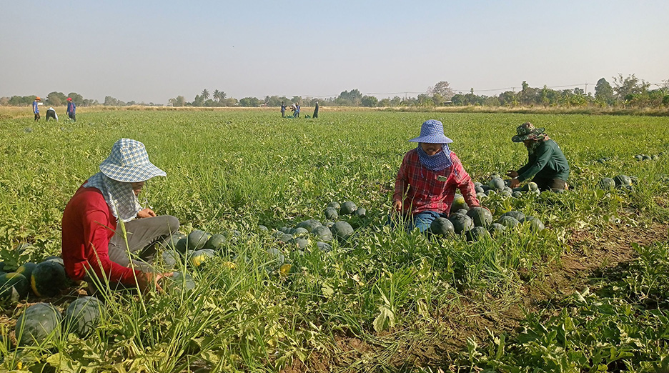 agriculture people
