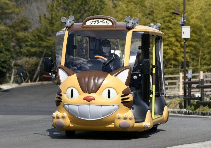 Cat Bus