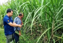 CP Foods Supports Farmers with Recycled Water Sharing Recycled Water