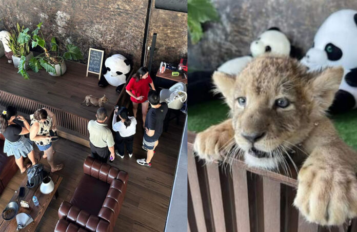 lion cafe1 Cafes