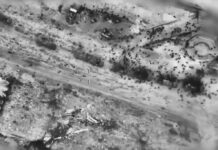 Many of Those Killed or Wounded in Gaza Stampede for Aid Were Shot by Israel’s Army, EU Arm Says