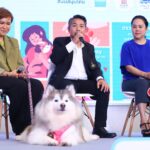 Pet Healthcare96
