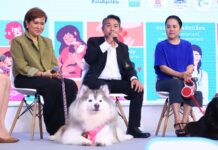 First Pet Healthcare Expo Offers Free Check-ups & Vaccinations