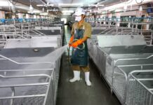 CP Foods Leads Water Conservation Efforts with Innovative Tech Initiatives