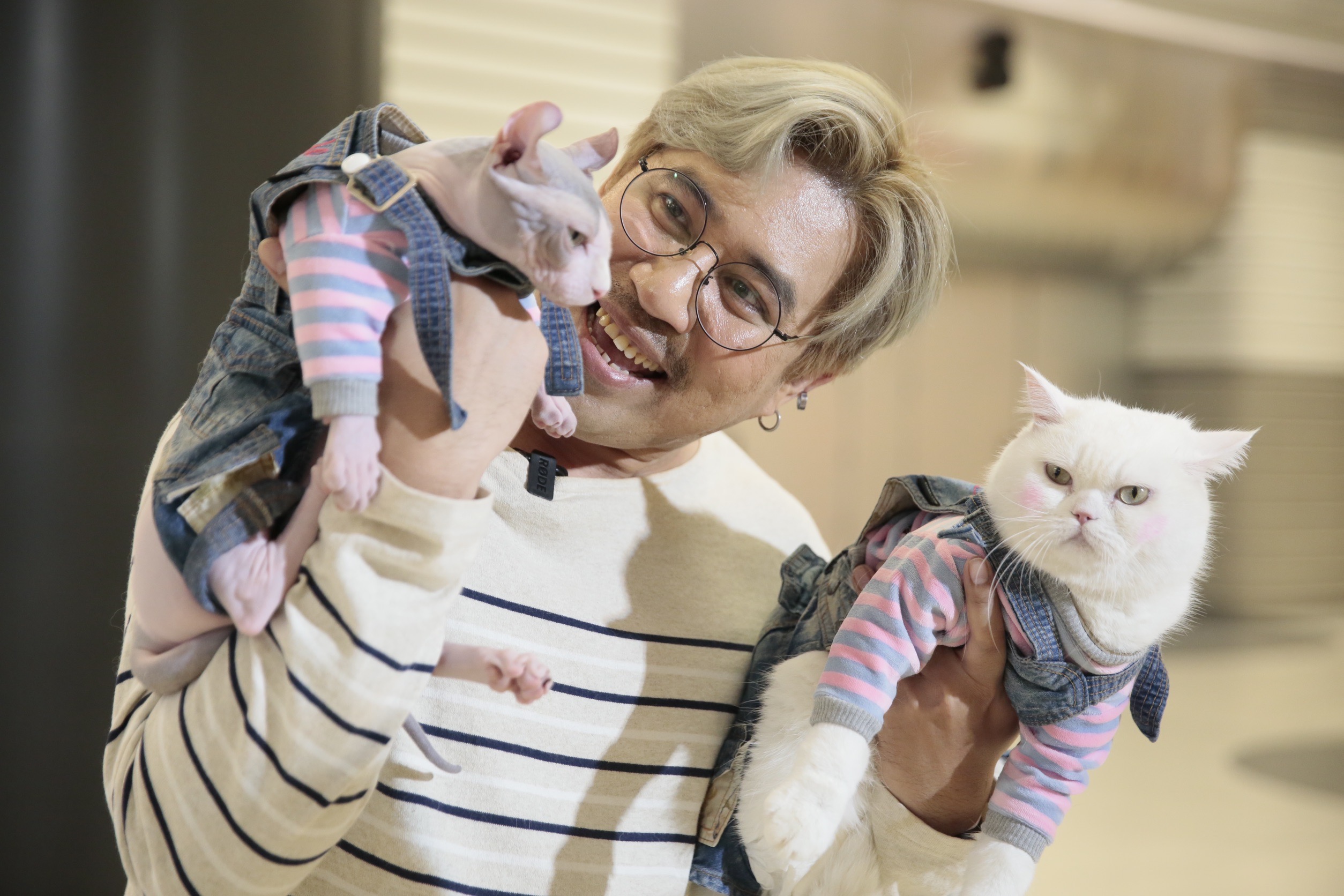 pet healthcare12