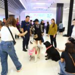 pet healthcare2
