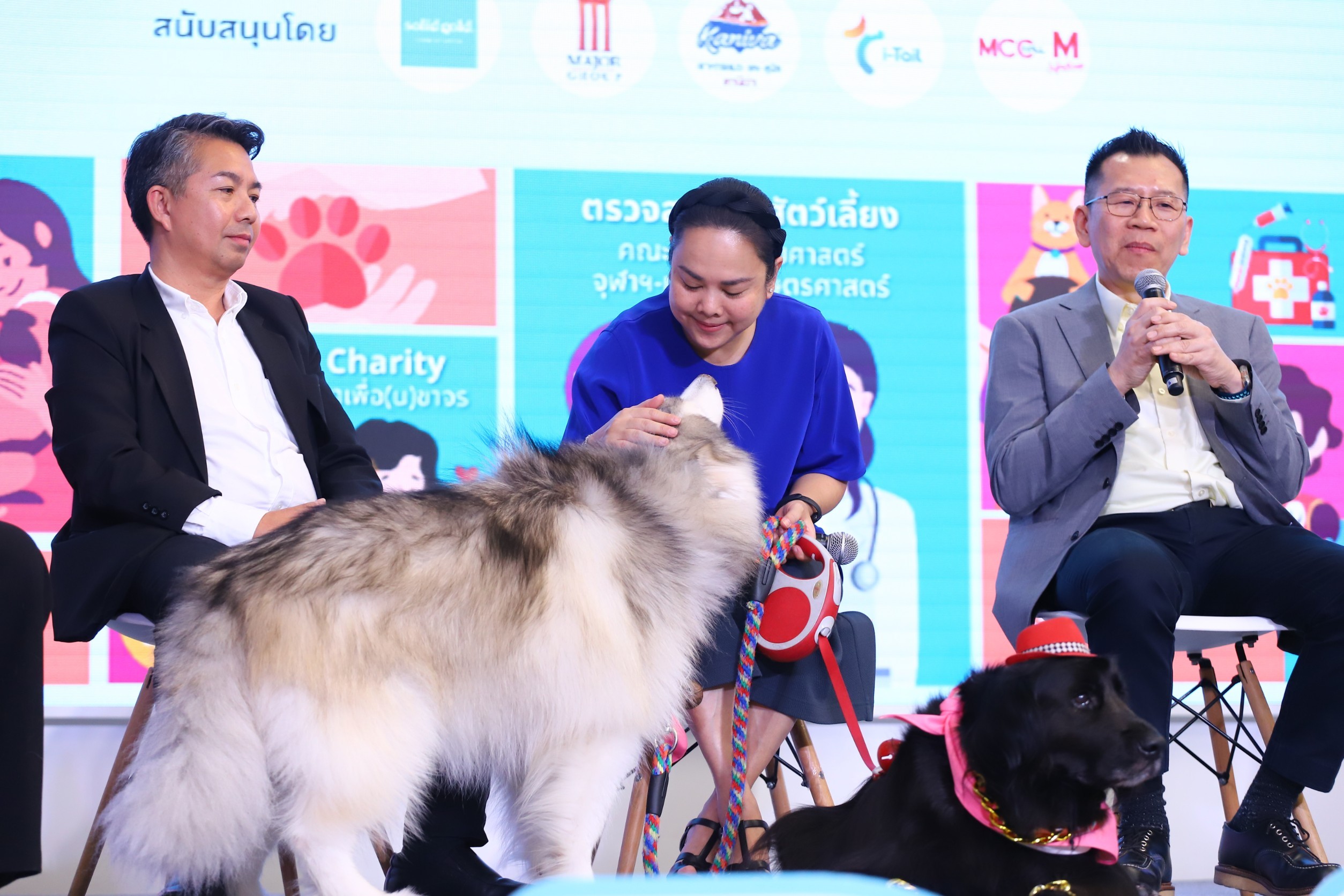 pet healthcare4