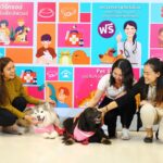 pet healthcare6