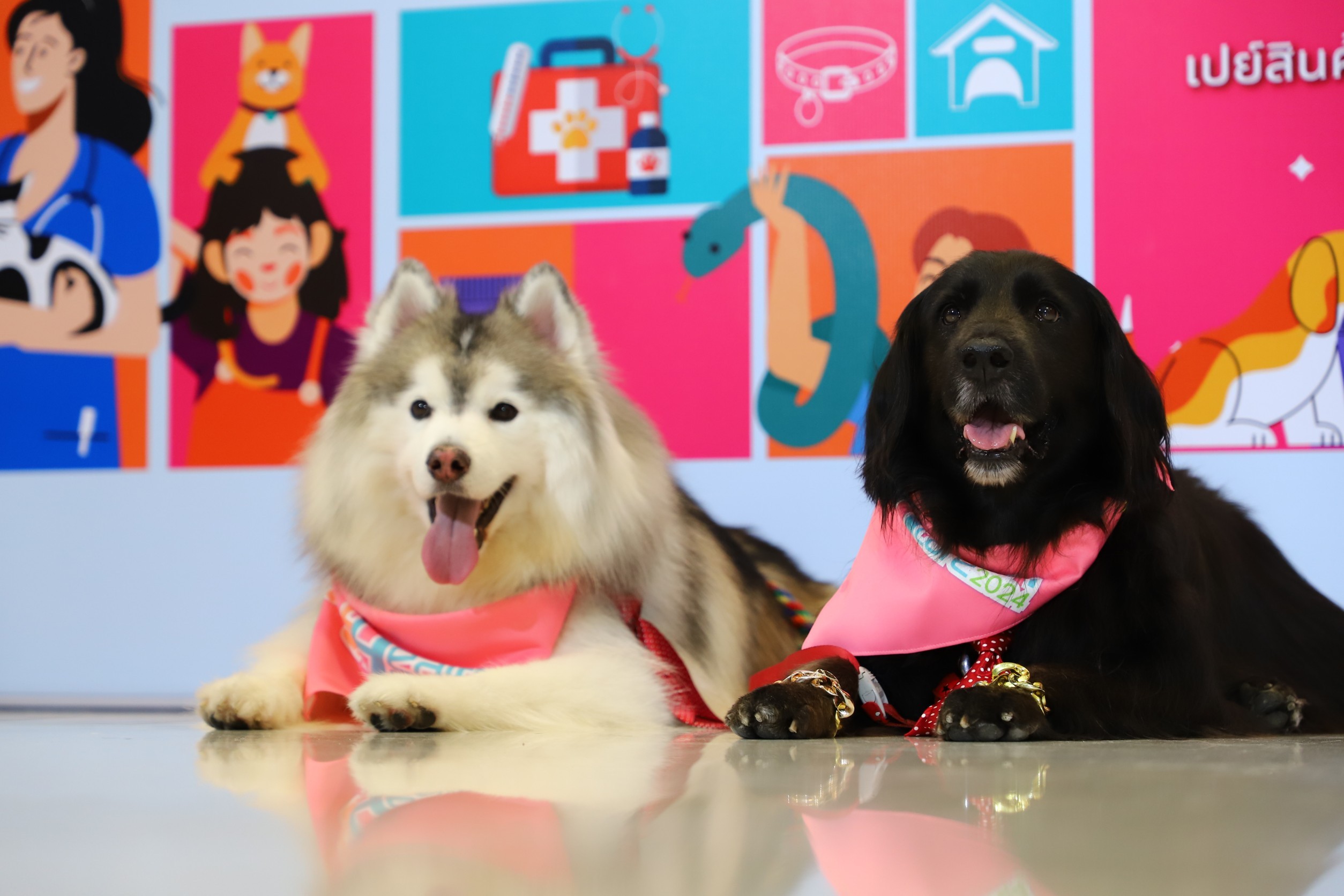 pet healthcare91