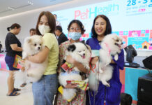 Pet Humanization Drives Thai Business Growth to over $1 Billion