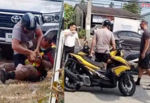Two Kiwi Tourists Deny Assault Charges Against Phuket Police Phuket police
