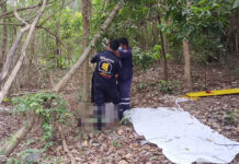 Pattaya Locals Are Shocked To See a Russian Body in the Grove grove