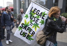 Germany Has Legalized Possession of Small Amounts of Cannabis. Not Everyone Is Mellow About That cannabis