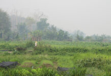 Southeast Asian Countries Consider Ways To Boost ‘Green Financing’ as Region Chokes on Smog